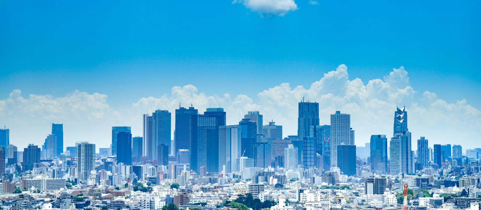 The Tokyo skyline under a bright blue sky, with the towers of Shinjuku rising above dense low-rise neighbourhoods